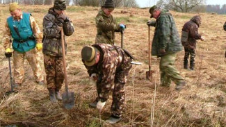 «Вахта памяти – 2019»: в Новгородскую область на раскопки от Ямала поедут 5 отрядов