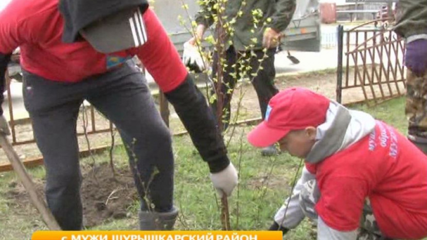 «Зеленый» мастер–класс. Молодежь Шурышкарского района учится беречь природу, высаживая новые деревья