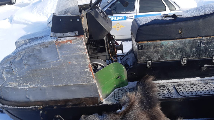 На Ямале поймали сразу несколько охотников, незаконно убивших двух лосей