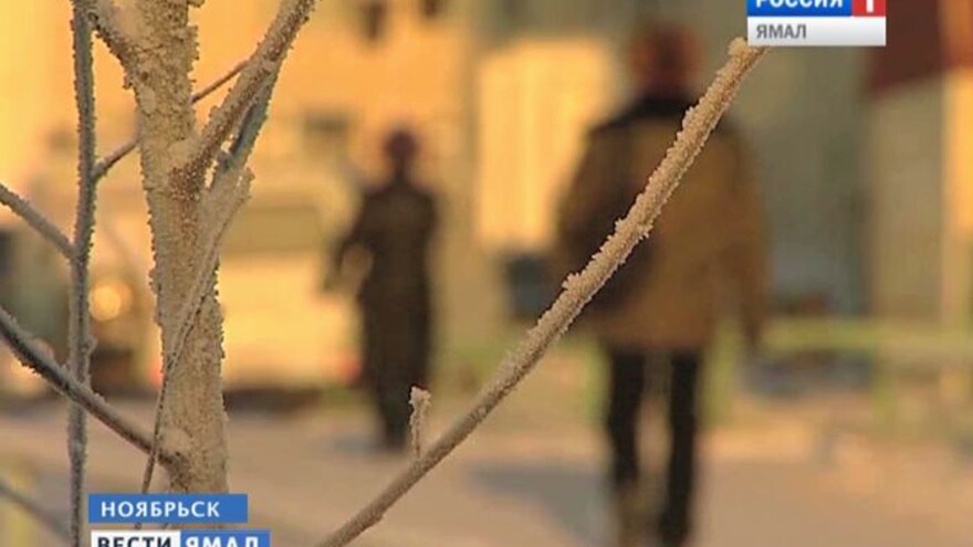 Для борьбы в ворами в ноябрьских магазинах предлагают установить химические ловушки