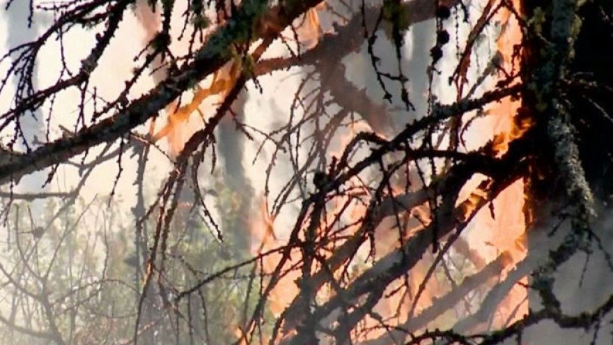 На Ямале в два раза увеличилось количество лесных пожаров