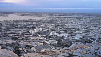 «Дни Арктики» в Москве: опыт Ямала по экологичности технологий освоения месторождений ставят в пример