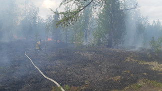 Горячая пора: как Ямал борется с лесными пожарами