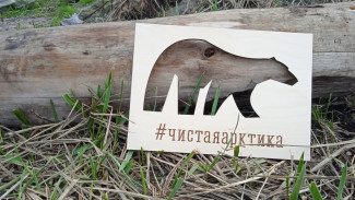 Волонтёры «Чистой Арктики» впервые приступят к уборке Шпицбергена