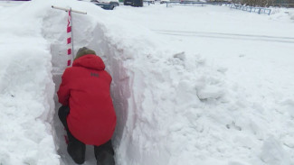 Измеряли сугробы и брали пробы: студенты МГУ исследовали снежный покров Ямала
