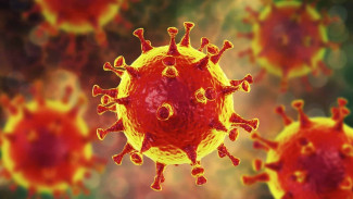 За сутки на Ямале коронавирусной инфекцией заразились 59 человек
