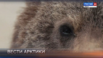 Вести Арктики. Эфир от 13.06.2026 (14:30)