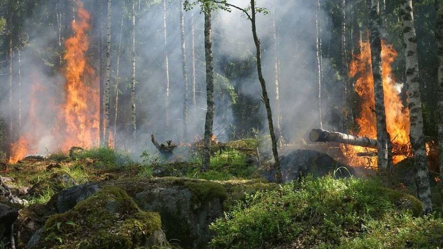 На Ямале спасателям удалось локализовать лесной пожар