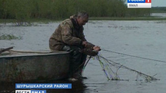 Больше воды – больше рыбы. Прогнозы ямальских рыбаков на летнюю путину-2015