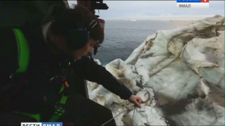 Тем временем в России успешно двигают айсберги весом более миллиона тонн. О самой масштабной экспедиции последних десятилетий