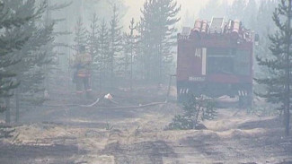 Сильные грозы стали причиной лесных пожаров на Ямале