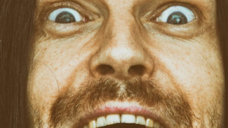 Учёные рассказали, какие профессии чаще всего выбирают психопаты и циники