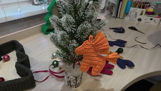 В Ноябрьске мама-рукодельница вместе с дочкой создали коллекцию вязаных игрушек