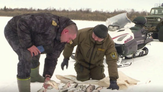 «Арктический патруль» напомнил рыбакам Ямала о правилах ловли в ходе очередного рейда