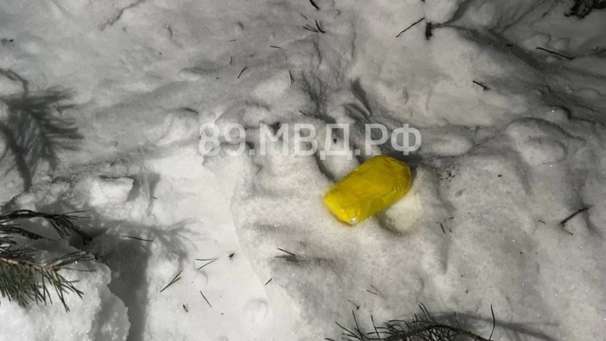 Полицейским удалось поймать наркодилершу из Ноябрьска в другом субъекте РФ