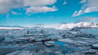 На Ямале продолжается совещание по изучению экосистем Арктики – INTERACT