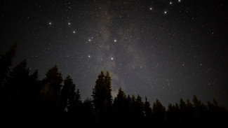 Новогодний звездопад: первый метеорный поток 2026 года увидят жители Ямала 