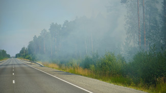 Полыхает 2 гектара леса: на Ямале огнеборцы потушили почти все природные пожары