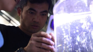 Биологи из Китая приехали во Владивосток изучать необычных морских животных