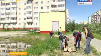 В Муравленко школьники не только весело проводят досуг, но и делают свой город чище!