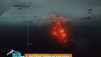 Погружение в праздник: дайверы Владивостока встретили Старый Новый год, как положено – под водой и с ёлкой!
