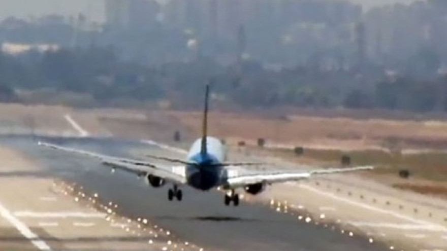 Птица стала причиной экстренной посадки самолета авиакомпании «Ямал» в Домодедово