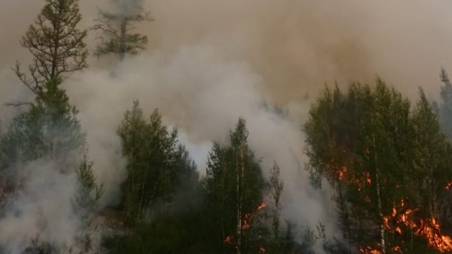Ямалспасовцы потушили лесные пожары на площади около 280 гектаров 