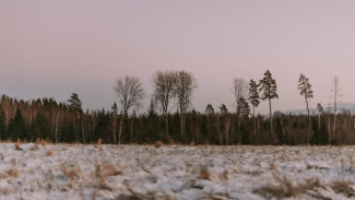 В Югре упростили процедуру выделения земель инвесторам в Арктической зоне