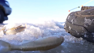 Магаданцы готовятся к сезону подледной рыбалки на припае Охотского моря