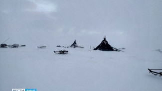 Обнаружено тело ребенка, который несколько дней назад потерялся в ямальской тундре