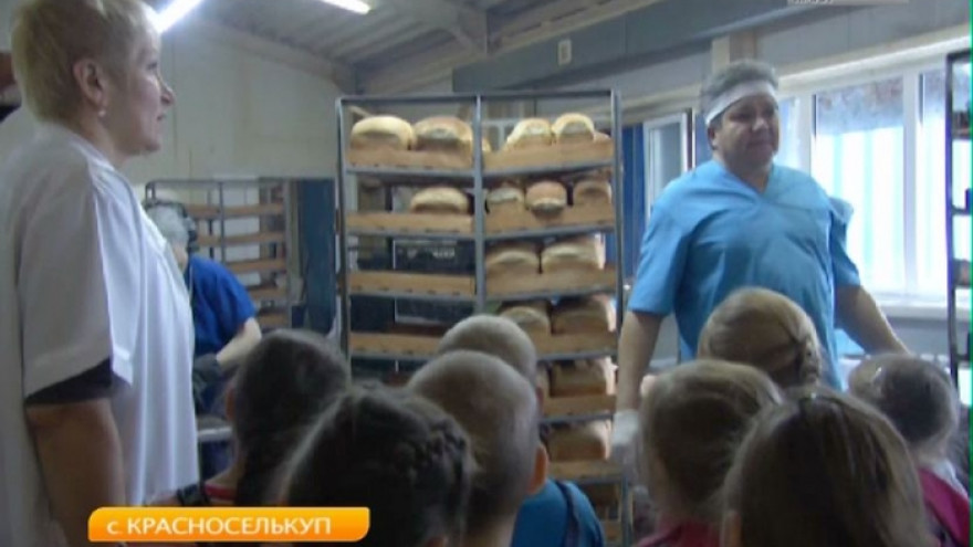 От колоска до румяного хлеба. Школьники Красноселькупа узнали, как работают пекари