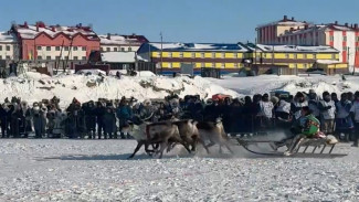 В Сеяхе ярко и масштабно отпраздновали День оленевода