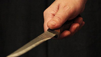 В Салехарде сын напал с ножом на отца