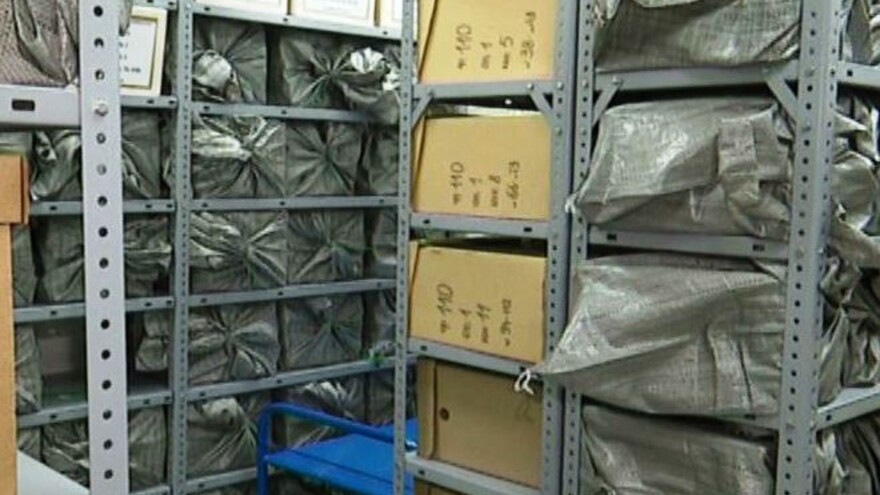 Просторно, темно и прохладно: окружной архив переезжает в новое здание