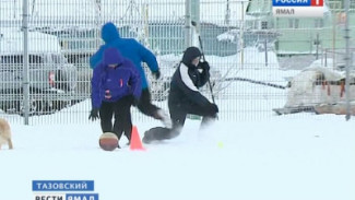 В Тазовском выбрали самый спортивный трудовой коллектив