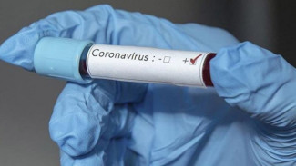 Основной прирост новых случаев коронавируса на Ямале произошел среди вахтовиков