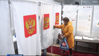 Подготовка к внеплановым выборам партией «Единая Россия»  велась с мая