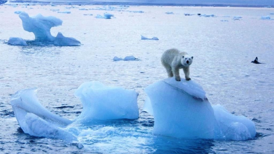 Учёные бьют тревогу: Северный Ледовитый океан через 20 лет останется безо льда