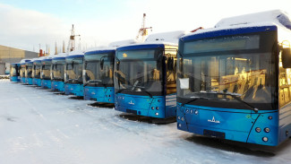 Экологичные и удобные: в Салехарде запустили новые автобусы