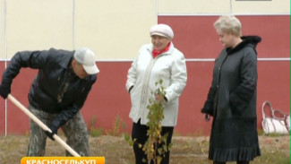 Жители Красноселькупа, Тольки и Ратты присоединились к окружной акции «Живая Арктика»