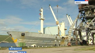 Мурманский рыбный порт принял три тысячи тонн рыбы, доставленной Севморпутем