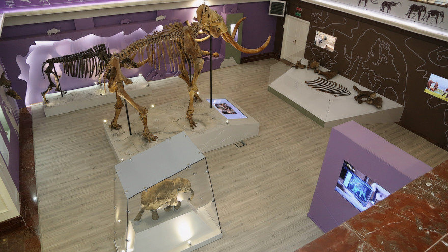 В главном музее Ямала открылась обновленная выставка «Оттаявший мир»