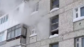 При пожаре в Пангодах погибла женщина