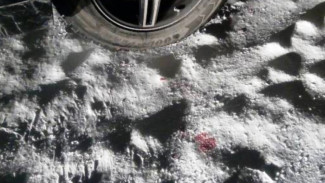 На Ямале женщина, поскользнувшись, попала под колёса автомобиля