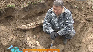 В Якутии обнаружили древние останки мамонта прямо в огороде