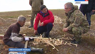 Губернатор Ямала проверил качество обустройства новых стойбищ в Ямальском районе