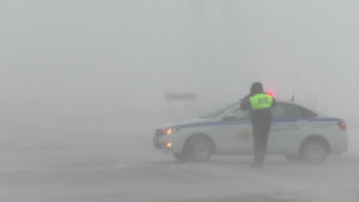 Нулевая видимость на дорогах и улетевшие светофоры: снежный ураган разгулялся на Ямале