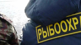 Состоялся очередной рейд по охране биоресурсов ЯНАО