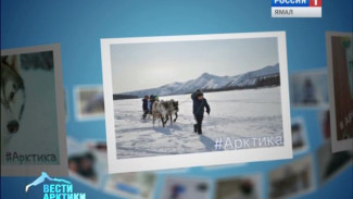 Пришло время новогодних сюрпризов. «Вести Арктики» подвели итоги конкурса «Я – Арктика!»