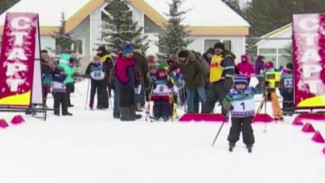 Первые в этом сезоне соревнования по лыжным гонкам прошли в Губкинской «Снежинке»